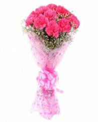 Pink Carnation 
