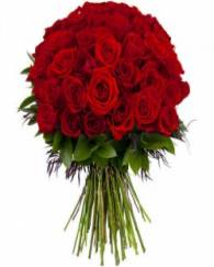 50 Red Rose Bunch 
