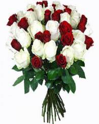 30 Red White Rose Bunch 