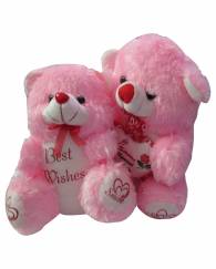 Pink Soft Teddy Bear 