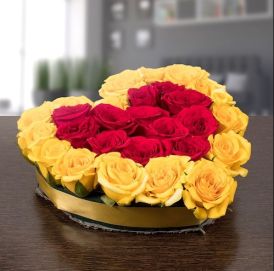 Yellow & Red Rose  